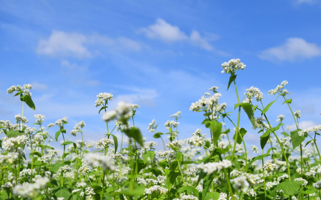 サイトを製作中です