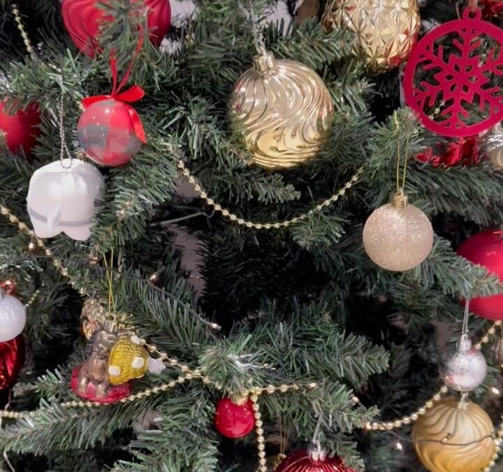 .Merry Christmas✨